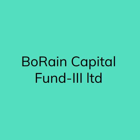 BoRain Capital Fund 3, LTD